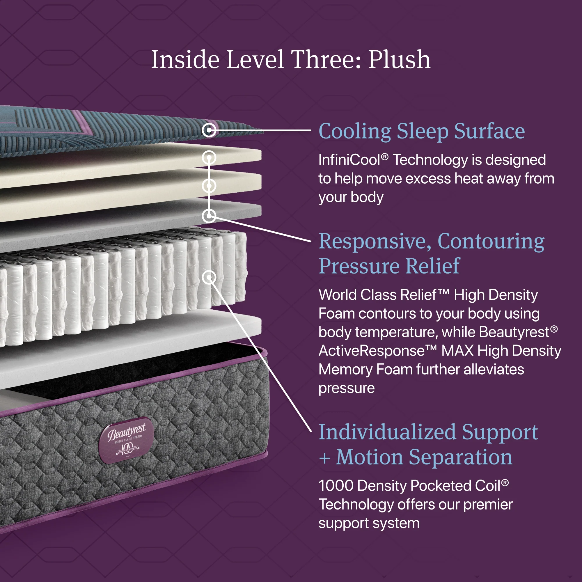 Beautyrest World Class Level Three Gray/Dark Blue Hybrid Twin Plush Mattress - Image 2