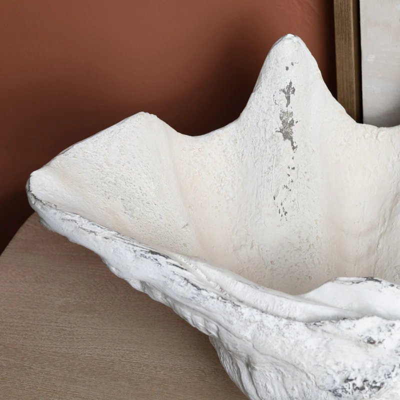 Henley White Resin Shell Sculpture - Image 5