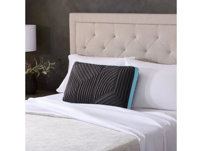Ice Cloud + Omniphase Black/Blue Queen High Loft Pillow