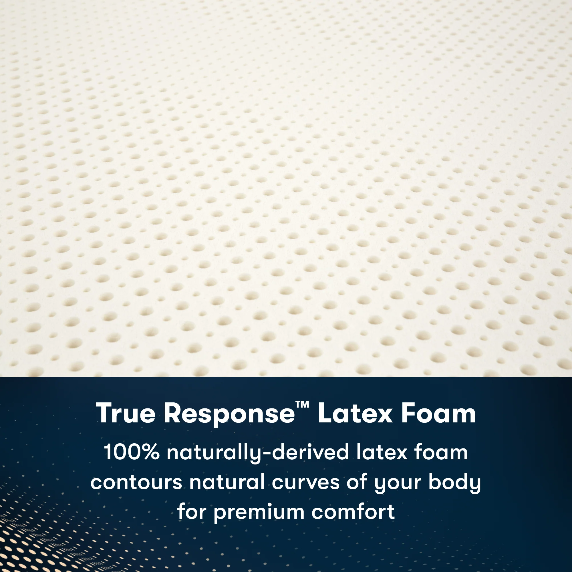 iComfortPro Granby 11.5" Dark Blue/White Latex Foam California King Extra Firm Mattress - Image 5