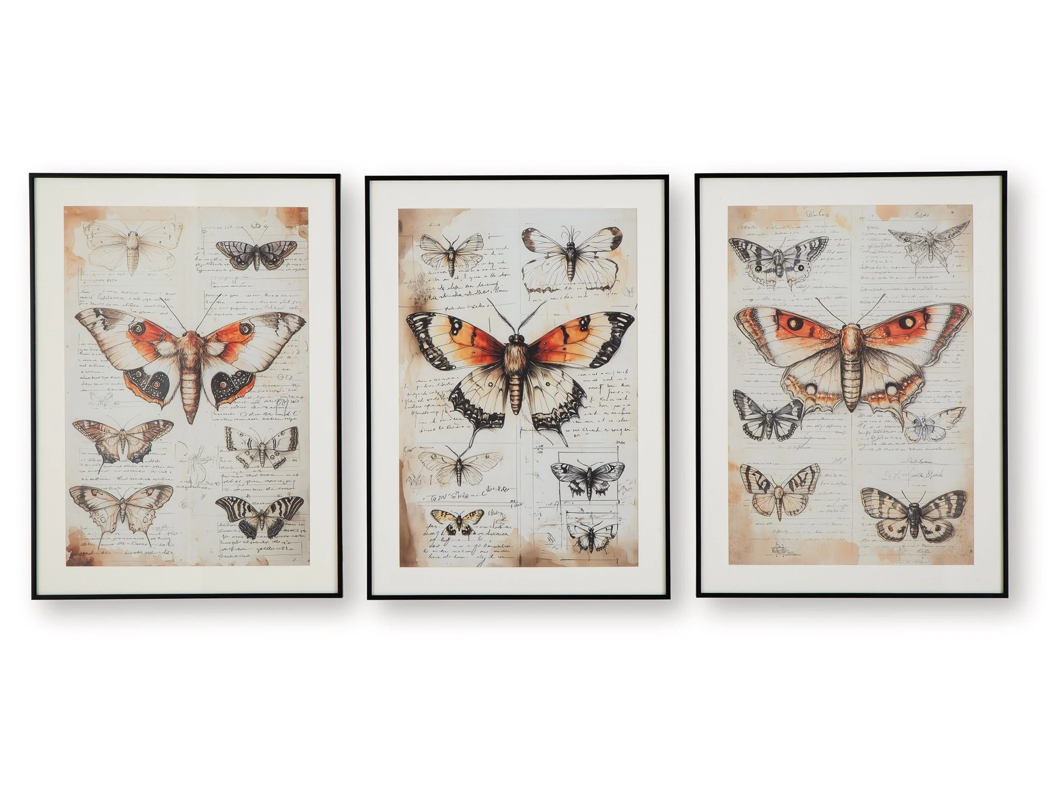 Jossletts Orange/Black/Ivory Wall Art Set (Set of 3)