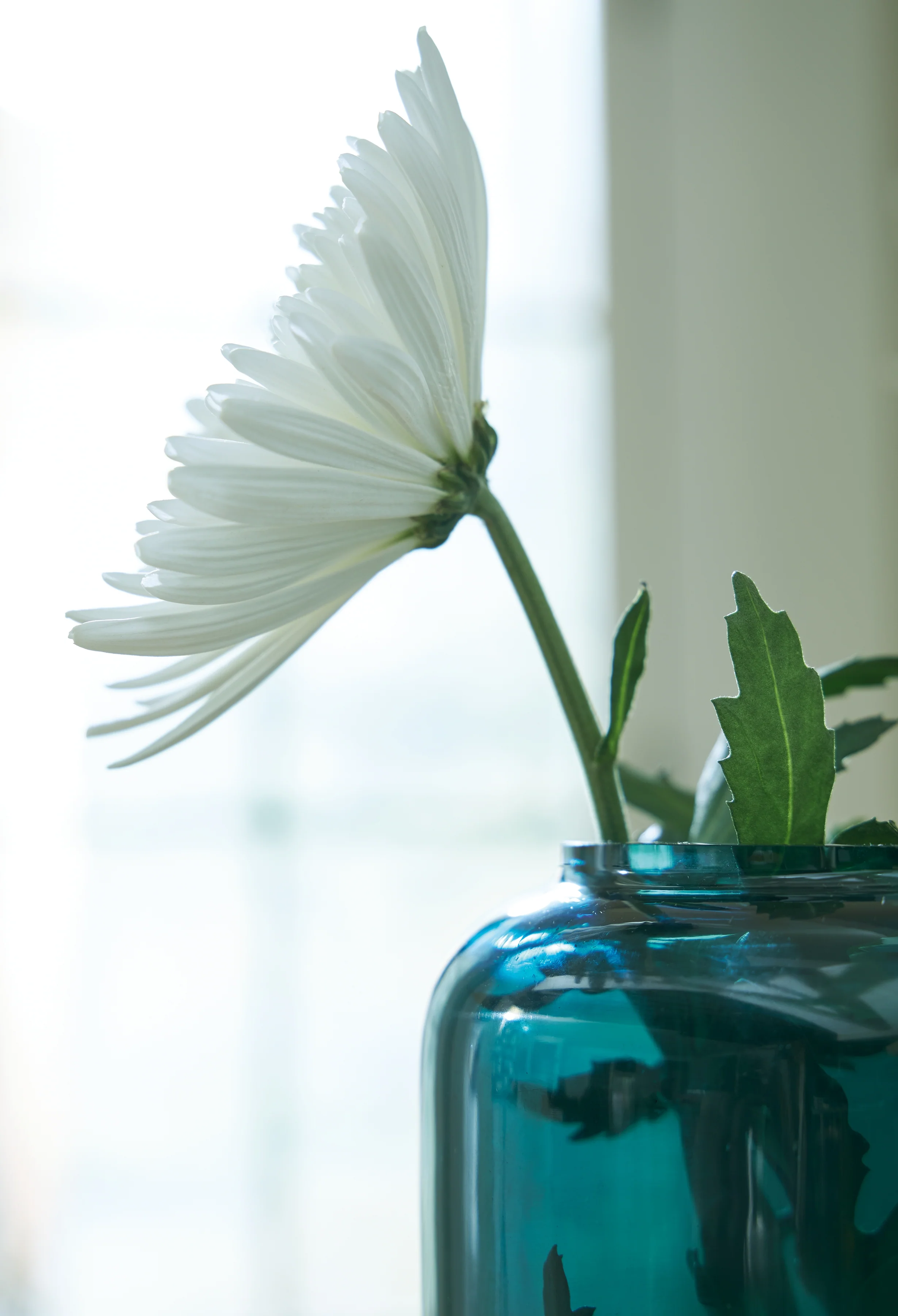 Inisland Teal Vase - Image 3