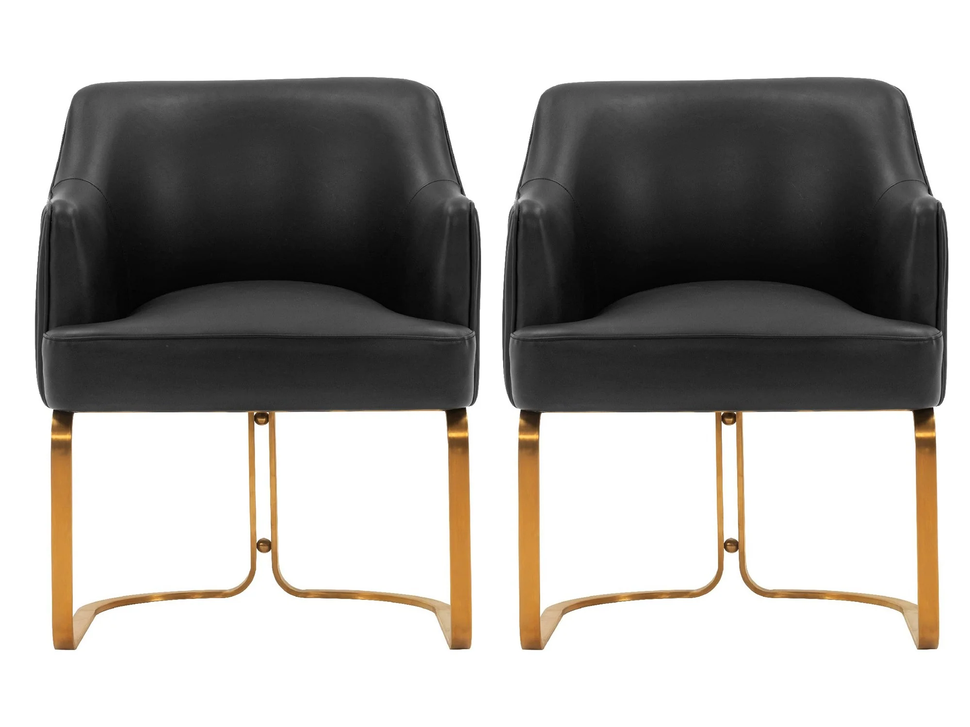 Raya Dining Armchair in Black (set of 2)