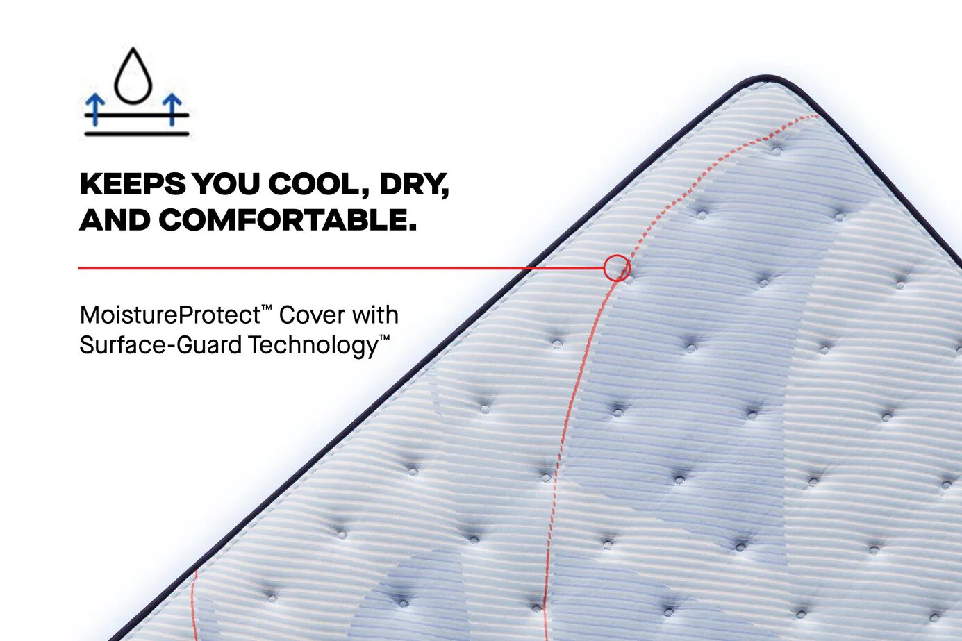 Sealy® Posturepedic® Paterson II Pillow Top Medium Mattress - Image 8