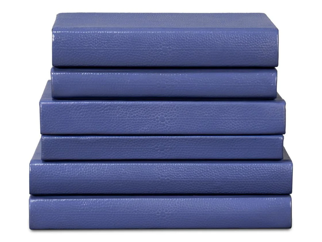 Shagreen Blue Books (Set of 12) - Image 2