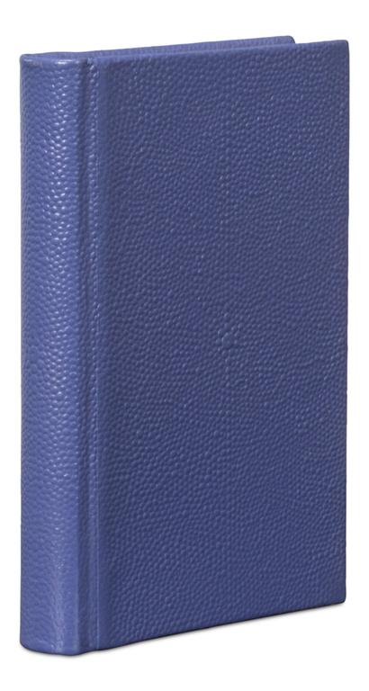 Shagreen Blue Books (Set of 12) - Image 7