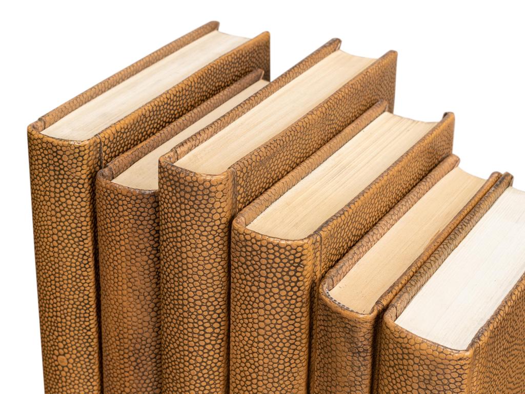 Shagreen Library Brown Books (Set of 12) - Image 3