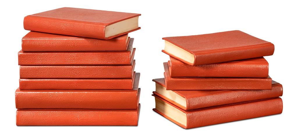 Shagreen Orange Books (Set of 12) - Image 10