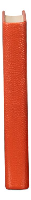 Shagreen Orange Books (Set of 12) - Image 12