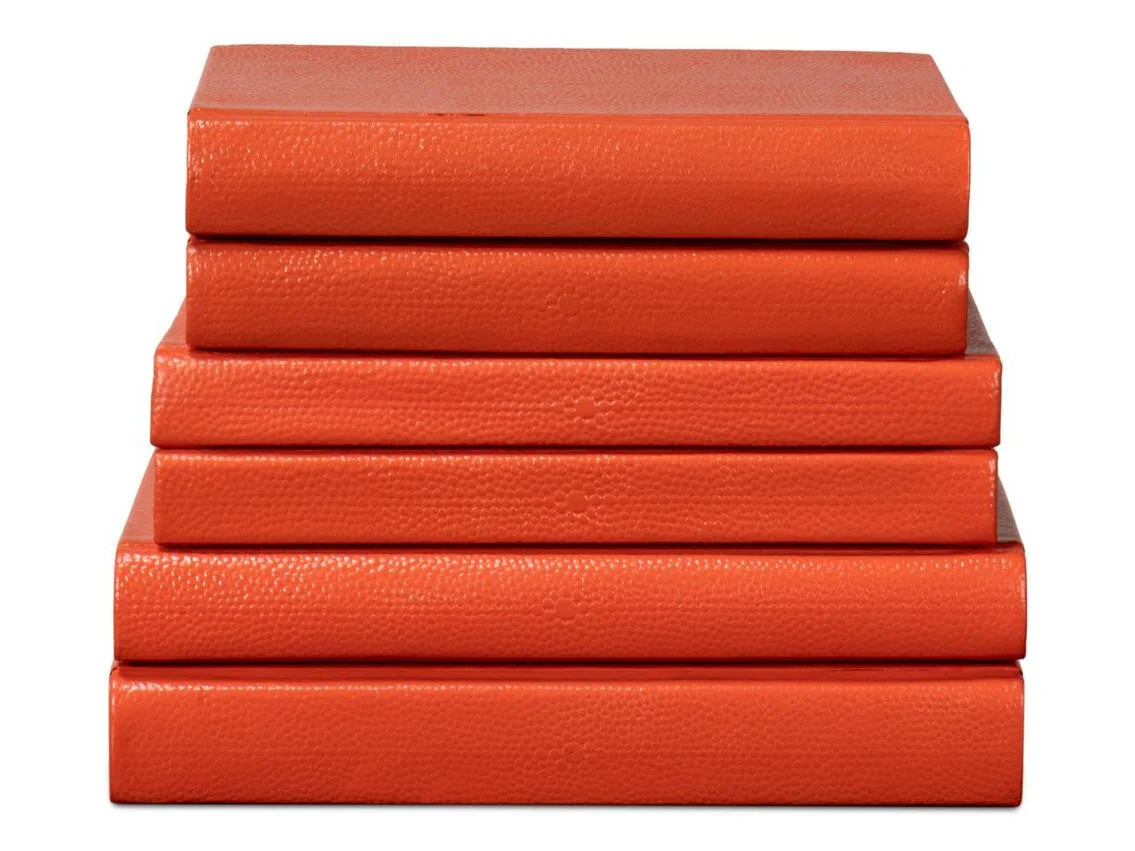 Shagreen Orange Books (Set of 12) - Image 2