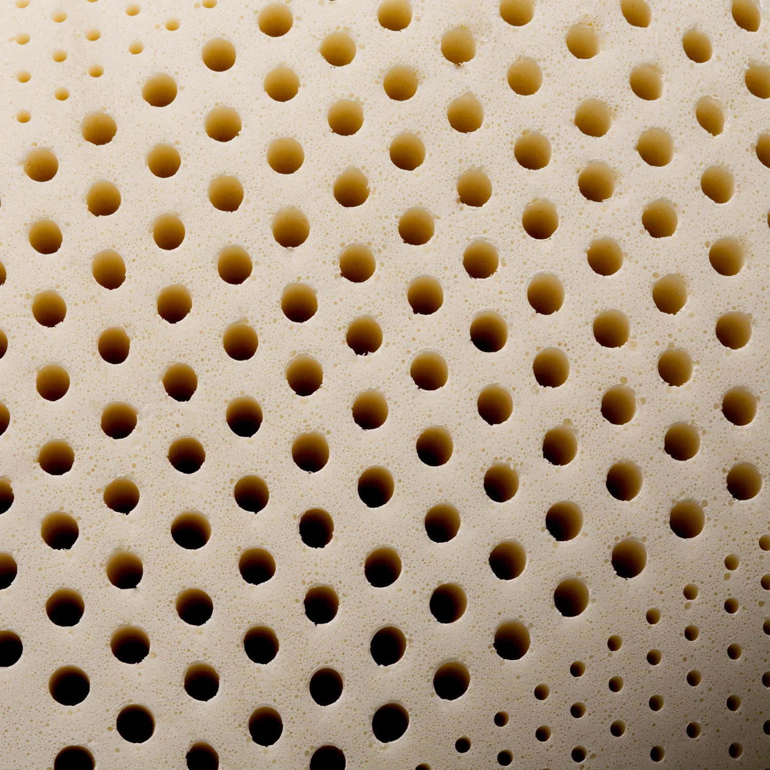 Zoned Talalay Latex White King Low Loft - Plush Pillow - Image 4